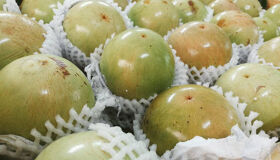 Seize the cultural essence of Vietnam’s artistry